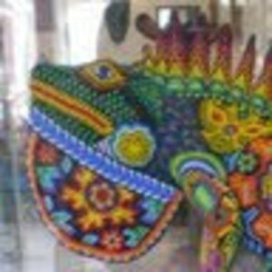 Meet your Posher, Janice